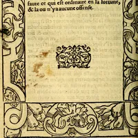 An illustration from Le pegme de Pierre Covstav (1560)