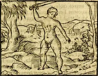 An illustration from Le pegme de Pierre Covstav (1560)