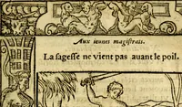 An illustration from Le pegme de Pierre Covstav (1560)