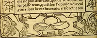 An illustration from Le pegme de Pierre Covstav (1560)