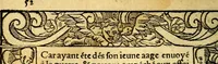 An illustration from Le pegme de Pierre Covstav (1560)