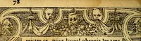An illustration from Le pegme de Pierre Covstav (1560)