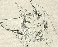 An illustration from Le peintre-graveur illustré : (xix et xx siècles) (1906)