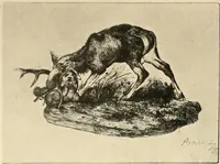 An illustration from Le peintre-graveur illustré : (xix et xx siècles) (1906)