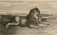 An illustration from Le peintre-graveur illustré : (xix et xx siècles) (1906)