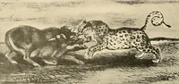An illustration from Le peintre-graveur illustré : (xix et xx siècles) (1906)