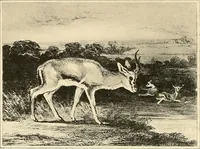 An illustration from Le peintre-graveur illustré : (xix et xx siècles) (1906)