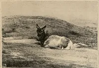Picture 14 of 55 from Le peintre-graveur illustré : (xix et xx siècles) (1906), leaf 34