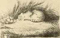 Picture 17 of 55 from Le peintre-graveur illustré : (xix et xx siècles) (1906), leaf 37