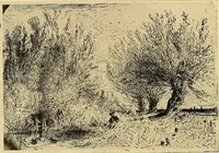 An illustration from Le peintre-graveur illustré : (xix et xx siècles) (1906)