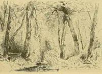 An illustration from Le peintre-graveur illustré : (xix et xx siècles) (1906)