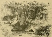 An illustration from Le peintre-graveur illustré : (xix et xx siècles) (1906)
