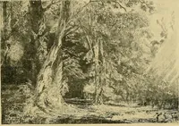 An illustration from Le peintre-graveur illustré : (xix et xx siècles) (1906)