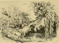 An illustration from Le peintre-graveur illustré : (xix et xx siècles) (1906)