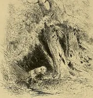 An illustration from Le peintre-graveur illustré : (xix et xx siècles) (1906)