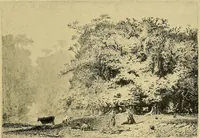 An illustration from Le peintre-graveur illustré : (xix et xx siècles) (1906)