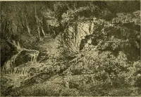 An illustration from Le peintre-graveur illustré : (xix et xx siècles) (1906)