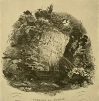 An illustration from Le peintre-graveur illustré : (xix et xx siècles) (1906)
