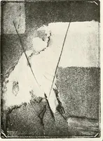 An illustration from Le peintre-graveur illustré : (xix et xx siècles) (1906)
