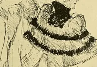 Picture 66 of 314 from Le peintre-graveur illustré : (xix et xx siècles) (1906), leaf 106