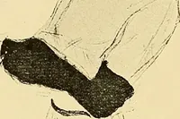 Picture 78 of 314 from Le peintre-graveur illustré : (xix et xx siècles) (1906), leaf 121