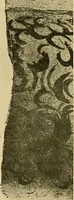 Picture 157 of 314 from Le peintre-graveur illustré : (xix et xx siècles) (1906), leaf 233