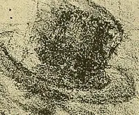 Picture 191 of 314 from Le peintre-graveur illustré : (xix et xx siècles) (1906), leaf 280