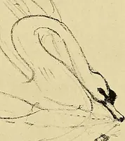 Picture 251 of 314 from Le peintre-graveur illustré : (xix et xx siècles) (1906), leaf 355