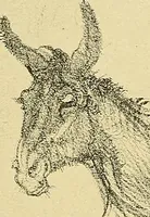 An illustration from Le peintre-graveur illustré : (xix et xx siècles) (1906)