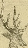 An illustration from Le peintre-graveur illustré : (xix et xx siècles) (1906)