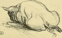 An illustration from Le peintre-graveur illustré : (xix et xx siècles) (1906)