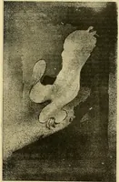 Picture 32 of 314 from Le peintre-graveur illustré : (xix et xx siècles) (1906), leaf 66