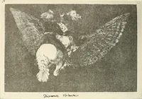 Picture 257 of 352 from Le peintre-graveur illustré : (xix et xx siècles) (1906), leaf 303