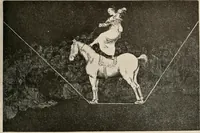 Picture 274 of 352 from Le peintre-graveur illustré : (xix et xx siècles) (1906), leaf 320