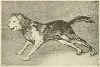 Picture 342 of 352 from Le peintre-graveur illustré : (xix et xx siècles) (1906), leaf 399