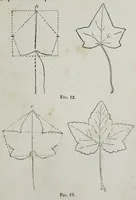 Picture 1 of 12 from Le peintre : traité usuel de peinture à l'usage de tout le monde (1907), leaf 37