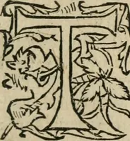 An illustration from Le philocope de messire Iean Boccace Florentin : contenant l'histoire de Fleury & Blanchefleur. (1555)