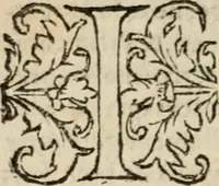 An illustration from Le philocope de messire Iean Boccace Florentin : contenant l'histoire de Fleury & Blanchefleur. (1555)