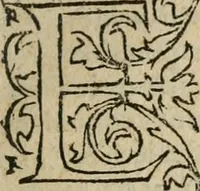 An illustration from Le philocope de messire Iean Boccace Florentin : contenant l'histoire de Fleury & Blanchefleur. (1555)
