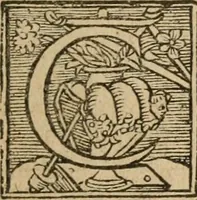 Picture 7 of 98 from Le philocope de messire Iean Boccace Florentin : contenant l'histoire de Fleury & Blanchefleur. (1555), leaf 28