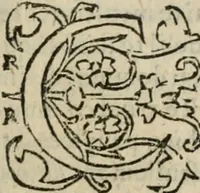 An illustration from Le philocope de messire Iean Boccace Florentin : contenant l'histoire de Fleury & Blanchefleur. (1555)