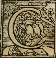 An illustration from Le philocope de messire Iean Boccace Florentin : contenant l'histoire de Fleury & Blanchefleur. (1555)