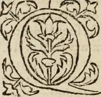 An illustration from Le philocope de messire Iean Boccace Florentin : contenant l'histoire de Fleury & Blanchefleur. (1555)