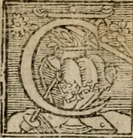 An illustration from Le philocope de messire Iean Boccace Florentin : contenant l'histoire de Fleury & Blanchefleur. (1555)