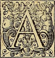An illustration from Le pitture antiche delle grotte di Roma, e del sepolcro de' Nasonj : disegnate, & intagliate alla similitudine degli antichi originali (1706)