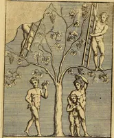 An illustration from Le pitture antiche delle grotte di Roma, e del sepolcro de' Nasonj : disegnate, & intagliate alla similitudine degli antichi originali (1706)