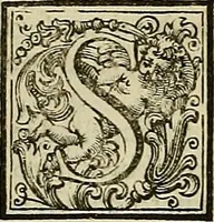 An illustration from Le pitture antiche delle grotte di Roma, e del sepolcro de' Nasonj : disegnate, & intagliate alla similitudine degli antichi originali (1706)