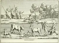 Picture 38 of 39 from Le pitture antiche del sepolcro de Nasonii nella Via Flaminia : disegnate, ed intagliate alla similitudine degli antichi originali (1680), leaf 106