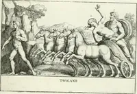 Picture 15 of 39 from Le pitture antiche del sepolcro de Nasonii nella Via Flaminia : disegnate, ed intagliate alla similitudine degli antichi originali (1680), leaf 46