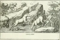 Picture 17 of 39 from Le pitture antiche del sepolcro de Nasonii nella Via Flaminia : disegnate, ed intagliate alla similitudine degli antichi originali (1680), leaf 50